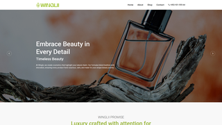 Thumbnail of winglii.com