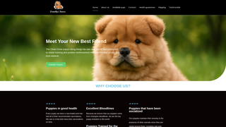 Thumbnail of familychows.com