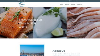 Thumbnail of exposurcl.com