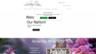 Thumbnail of smokenationllc.com