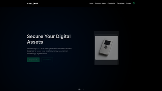 Thumbnail of pylexor.org