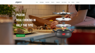 Thumbnail of pigeoncooker.com