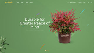 Thumbnail of quirkpath.com