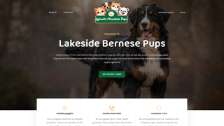 Thumbnail of lakesidebernesepups.com