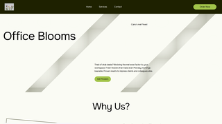 Thumbnail of mailbetsmir.com