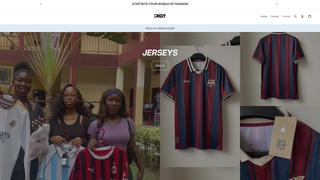 Thumbnail of drizzystores.com