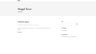 Thumbnail of hosgul.net