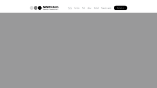 Thumbnail of ninitrans.com