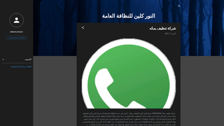 Thumbnail of elnour-clean.com