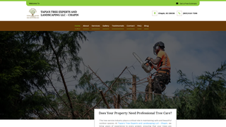 Thumbnail of sctreeservice.com