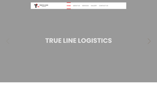 Thumbnail of truelinelogistic.com