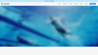 Thumbnail of aquanaughtsswimschool.com