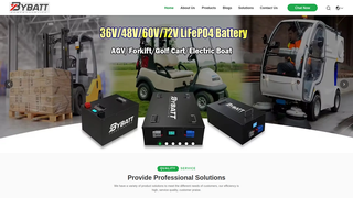 Thumbnail of liiontractionbattery.com