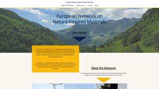 Thumbnail of nature-inspired-materials-eu-network.org