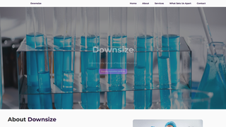 Thumbnail of downsizepens.com