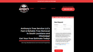 Thumbnail of anthonystree.com
