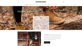 Thumbnail of stride-dublin.com