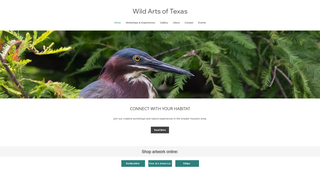 Thumbnail of wildartstx.com