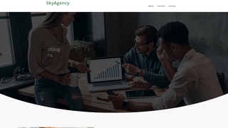 Thumbnail of skyagency.net