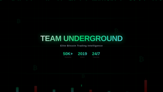 Thumbnail of teamundergroundtrading.com