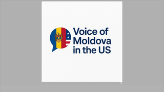 Thumbnail of voiceofmoldovaintheus.com