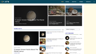 Thumbnail of elevenfacts.com