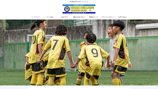 Thumbnail of wadabulldog.com