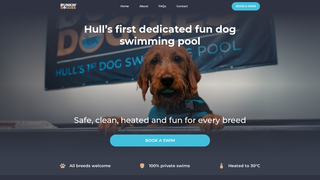Thumbnail of dunkindoggies.com