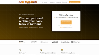 Thumbnail of antsrodentsnewton.com