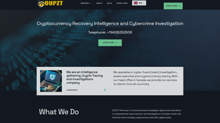 Thumbnail of dupzt.com