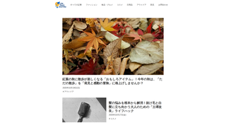 Thumbnail of lifehackjourney.com