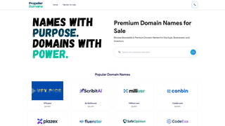 Thumbnail of propellerdomains.com