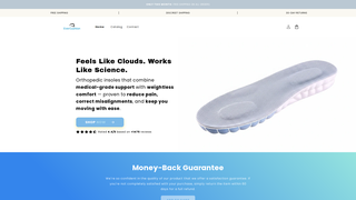 Thumbnail of evercushion.com