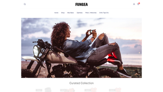Thumbnail of fungearandtoys.com
