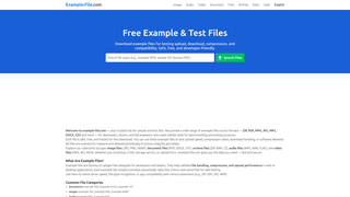 Thumbnail of example-file.com