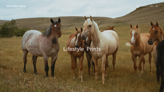 Thumbnail of she-rides-west.com