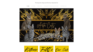 Thumbnail of artacats.com