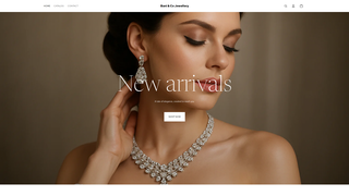 Thumbnail of baniandco.com