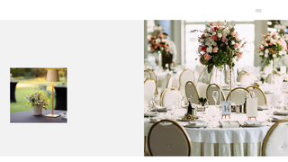 Thumbnail of eventsbyzeena.com