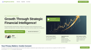 Thumbnail of bridgefinancialhub.com