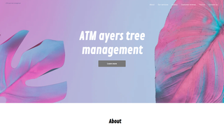 Thumbnail of atmtreeandmore.com