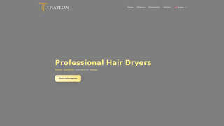 Thumbnail of thaylonpro.com