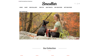 Thumbnail of smcollar.com