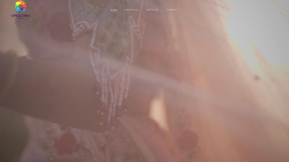 Thumbnail of opulenns.com