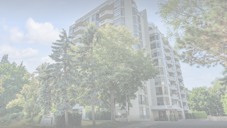 Thumbnail of northshorepenthouse.com