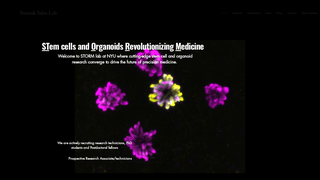Thumbnail of sahulab.com