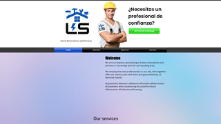 Thumbnail of lsexpres.com