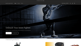 Thumbnail of punchprovision.com