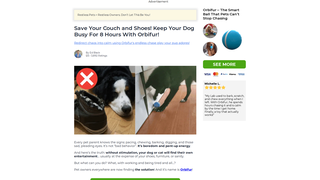 Thumbnail of orbifur.com