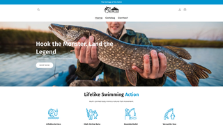 Thumbnail of dryflyco.com
